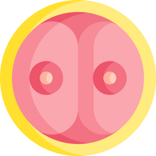 Яйцеклетка Special Flat иконка