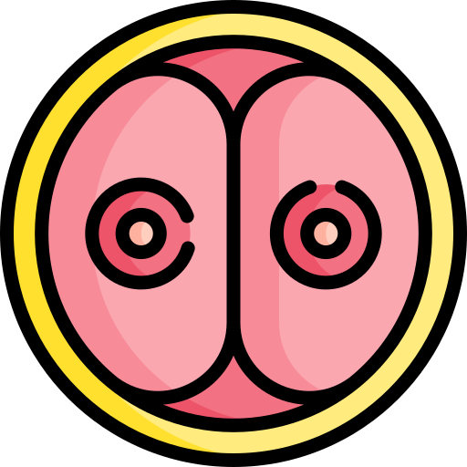 Óvulo Special Lineal color icono