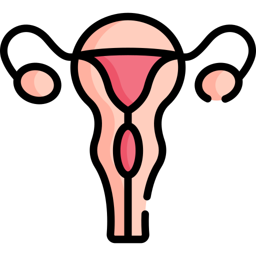 sistema reproductivo Special Lineal color icono