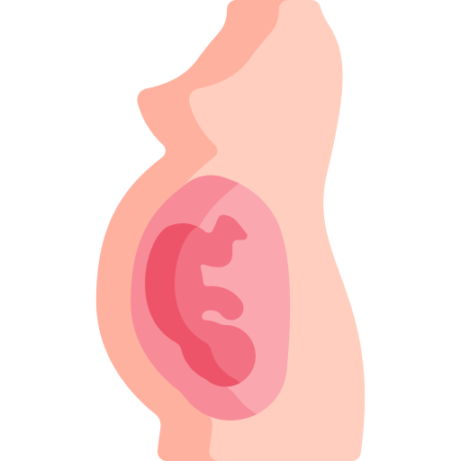 el embarazo Special Flat icono