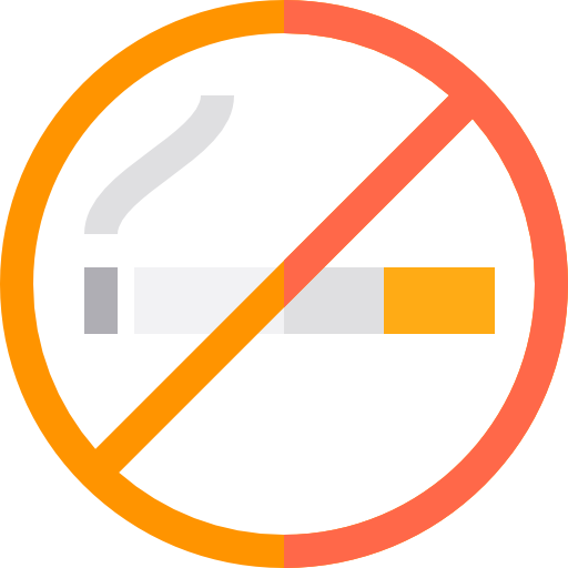no fumar Basic Straight Flat icono
