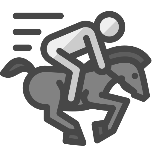 reitsport Generic Outline Color icon