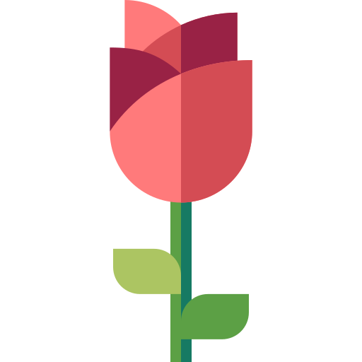 rosa Basic Straight Flat icona
