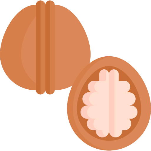 грецкий орех Special Flat иконка