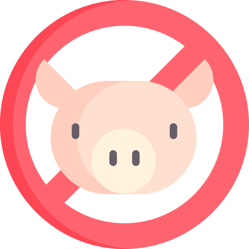 No pork Special Flat icon