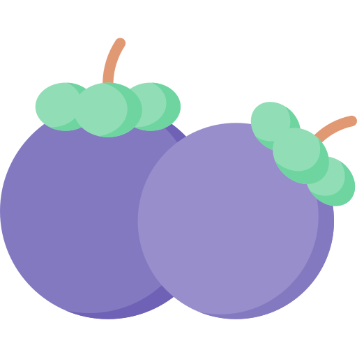 Mangosteen Special Flat icon