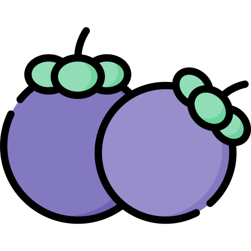 Mangosteen Special Lineal color icon