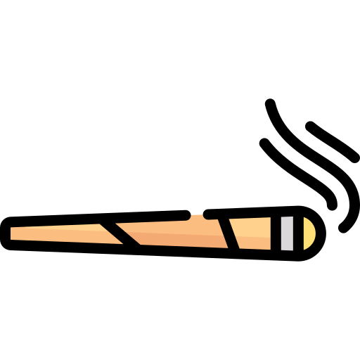 Joint Special Lineal color icon