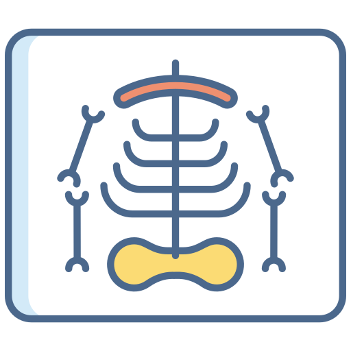 엑스레이 Generic Outline Color icon