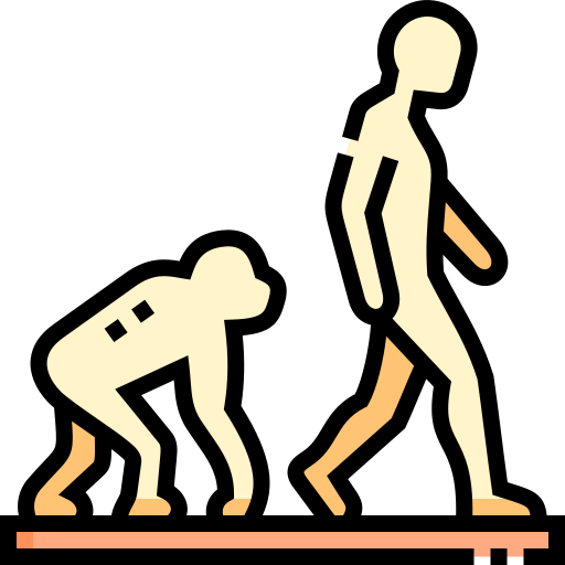 Evolution Detailed Straight Lineal color icon