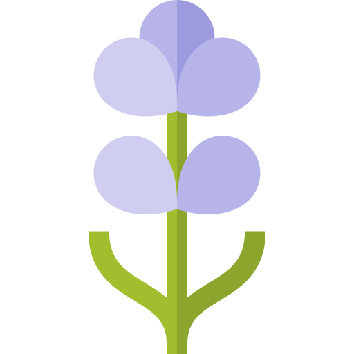 lavendel Basic Straight Flat icoon