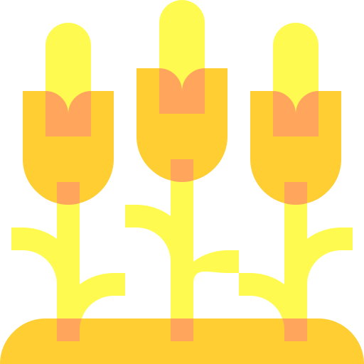 Corn Basic Sheer Flat icon
