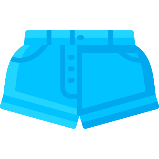 shorts Special Flat Ícone