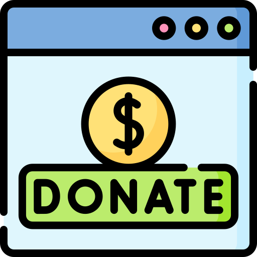Donate Special Lineal color icon
