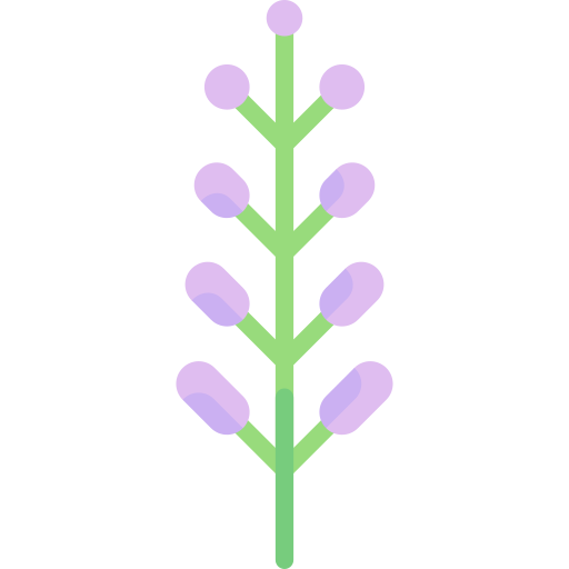 lavanda Special Flat icono