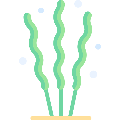 algues Special Flat Icône