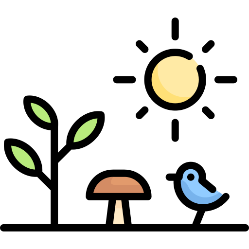 ecosistema Special Lineal color icono