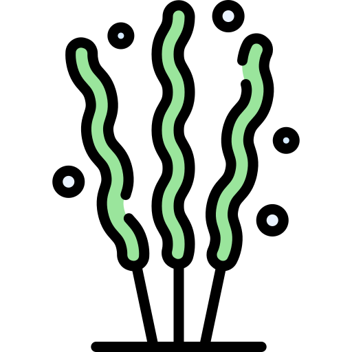 Algae Special Lineal color icon