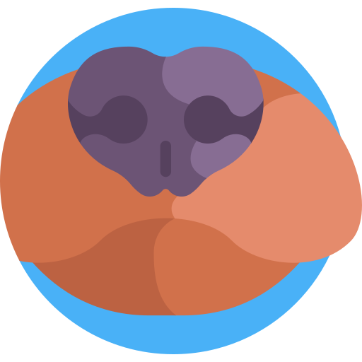 hundenase Detailed Flat Circular Flat icon