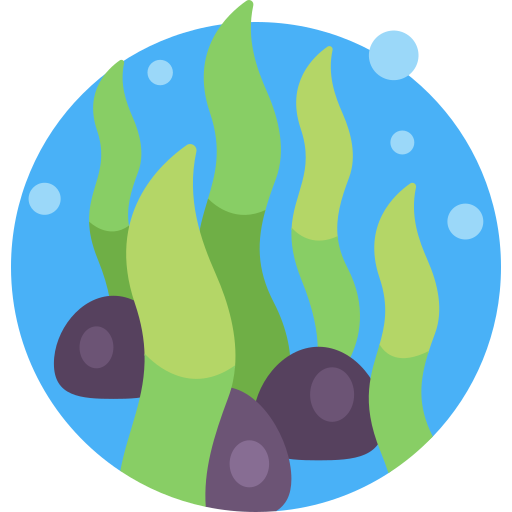 alghe Detailed Flat Circular Flat icona