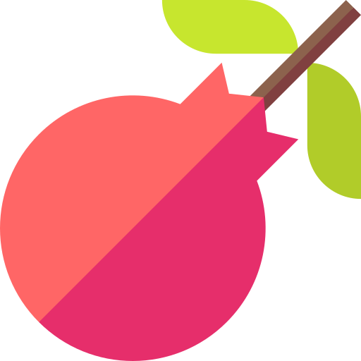 granatapfel Basic Straight Flat icon
