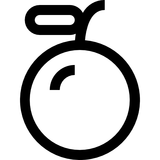 주황색 Accurate Lineal icon