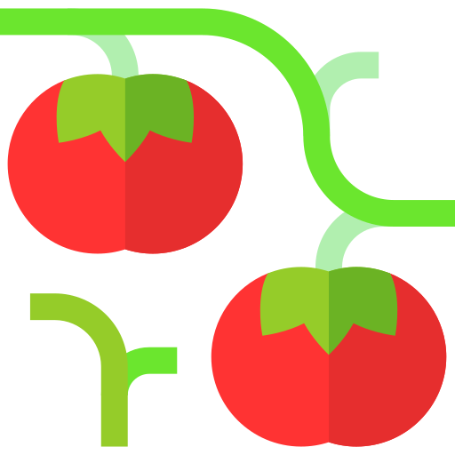 tomates Basic Straight Flat Icône