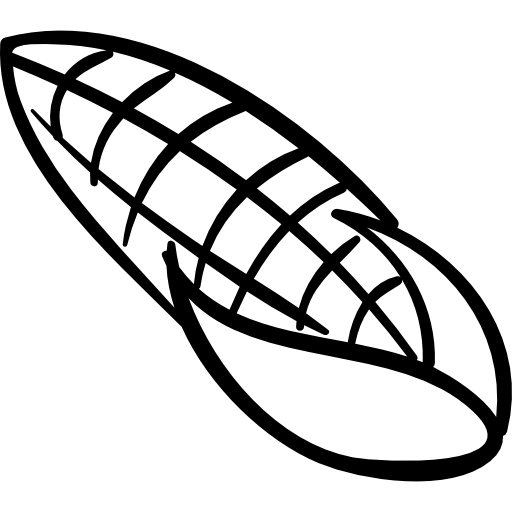 espiga de milho desenhada à mão vegetal  Ícone