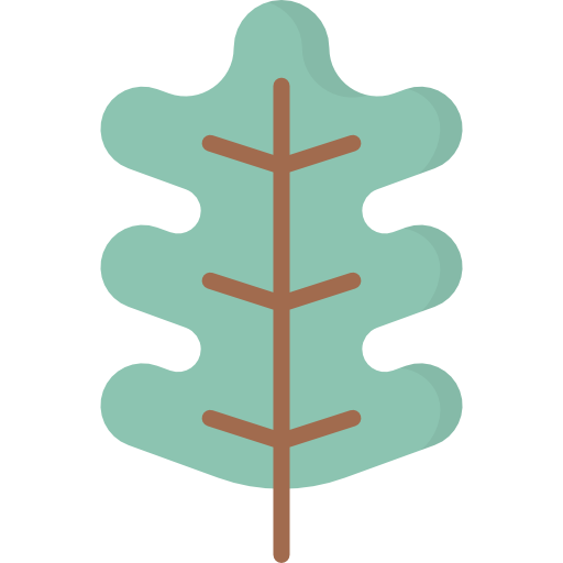 Дубовый лист Kawaii Flat иконка