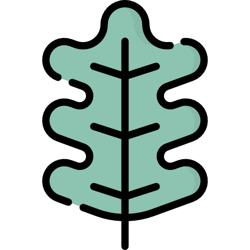 Дубовый лист Kawaii Lineal color иконка