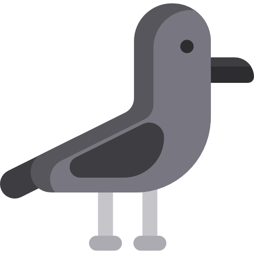 Crow Special Flat icon