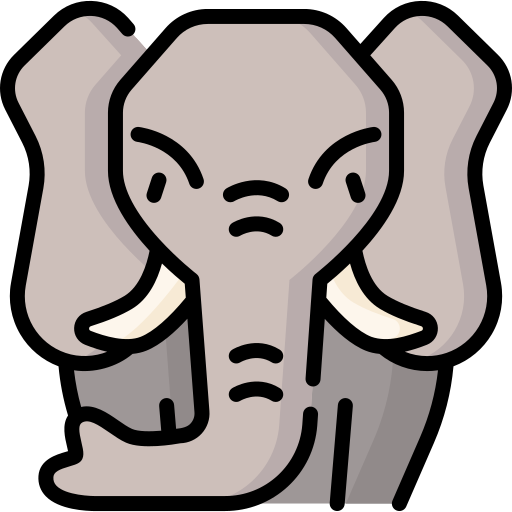 Elephant Special Lineal color icon