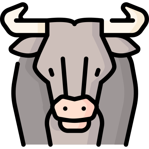 stier Special Lineal color icon