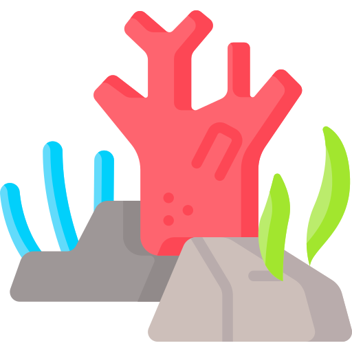 koral Special Flat ikona