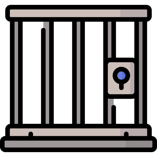 Cage Special Lineal color icon