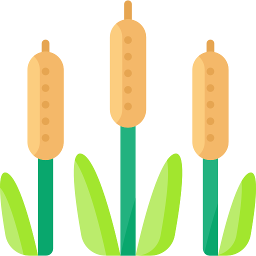 Cattail Special Flat icon
