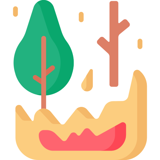 Forest Special Flat icon