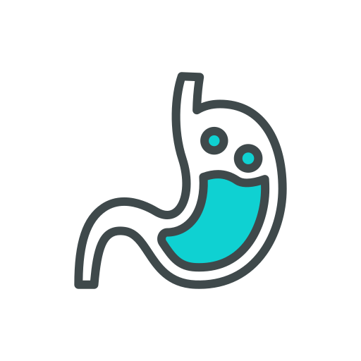 Stomach Generic Outline Color icon