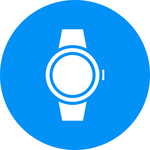 Watch Generic Flat icon