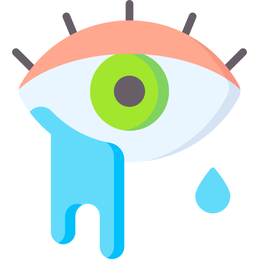 augen Special Flat icon