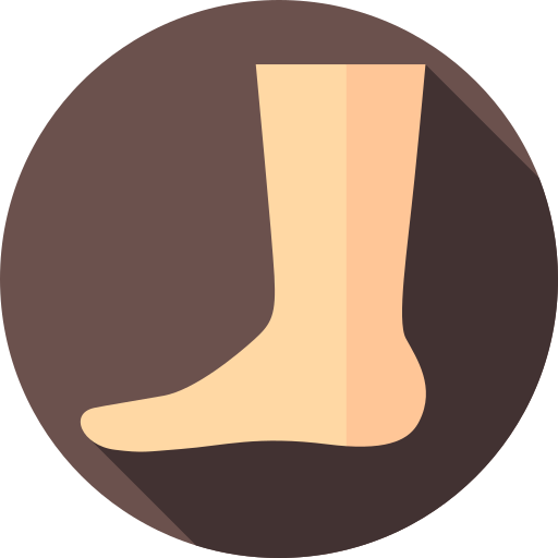voet Flat Circular Flat icoon