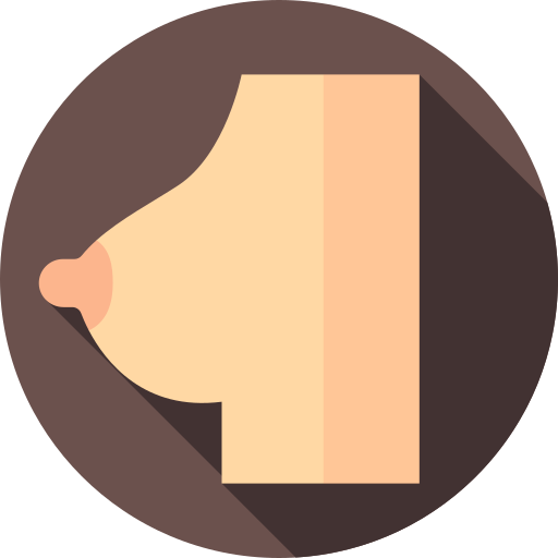 seno Flat Circular Flat icono