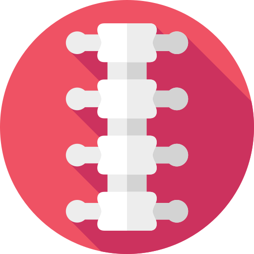 columna vertebral Flat Circular Flat icono