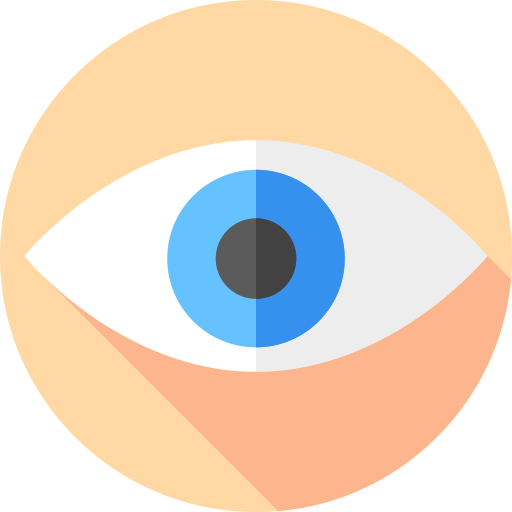 ojo Flat Circular Flat icono