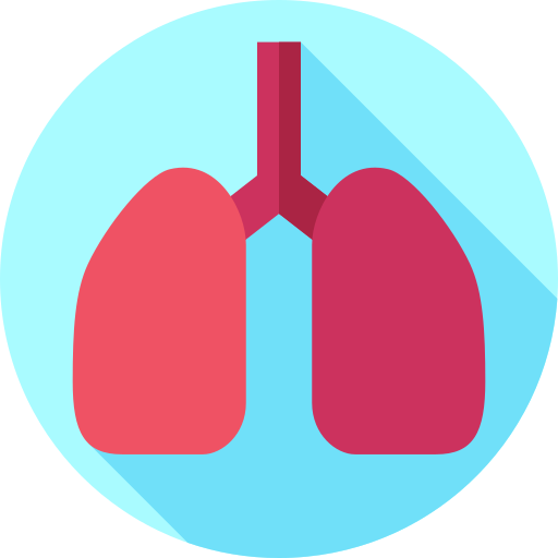 肺 Flat Circular Flat icon