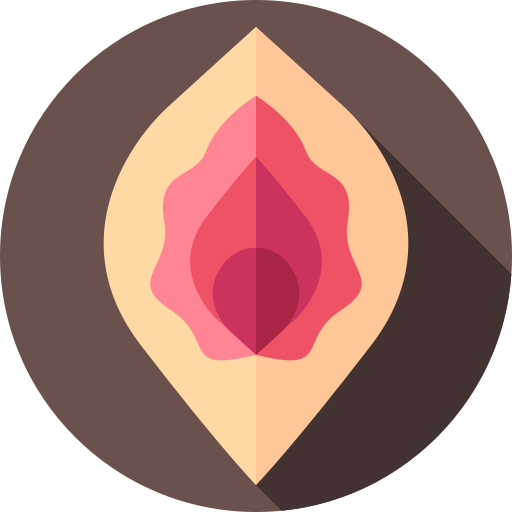 vagina Flat Circular Flat icono