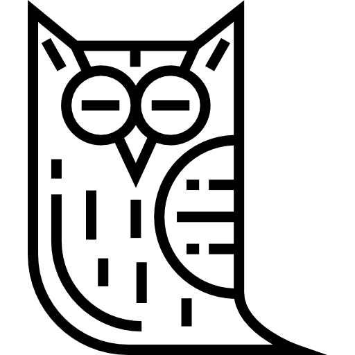 sowa Detailed Straight Lineal ikona