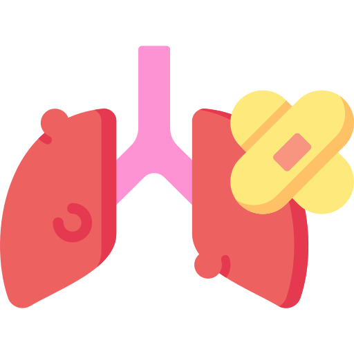pulmão Special Flat Ícone