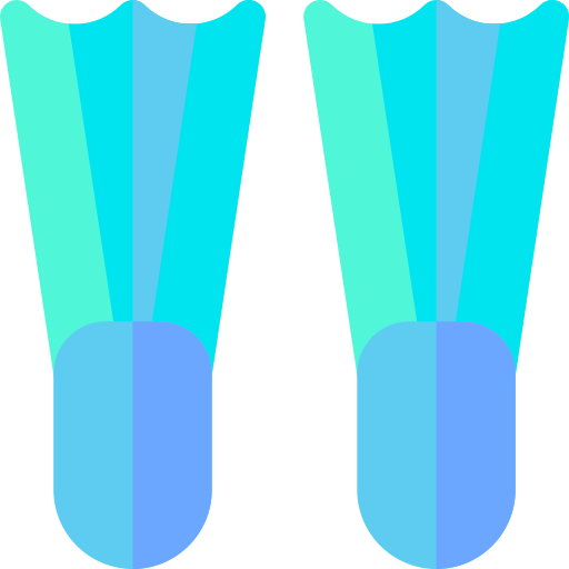 Flippers Basic Rounded Flat icon