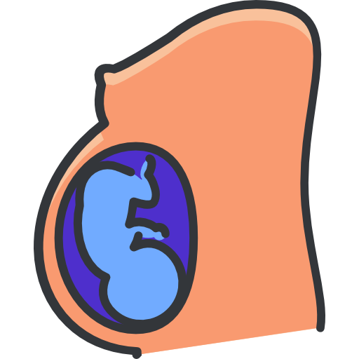 schwangerschaft Roundicons Premium Lineal Color icon
